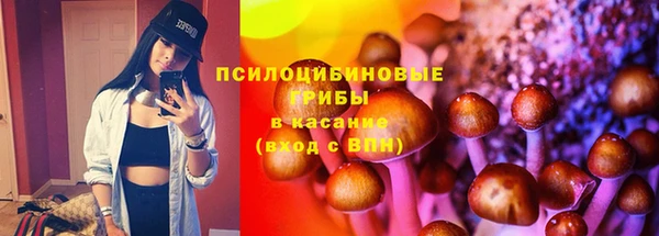 Альфа ПВП Бугульма