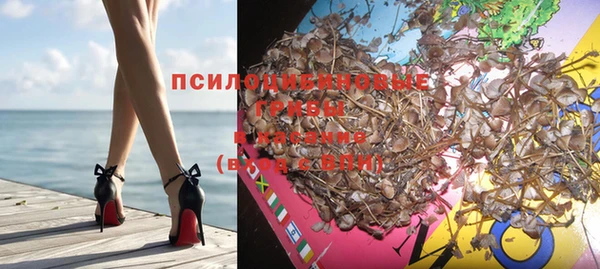 марки nbome Бородино