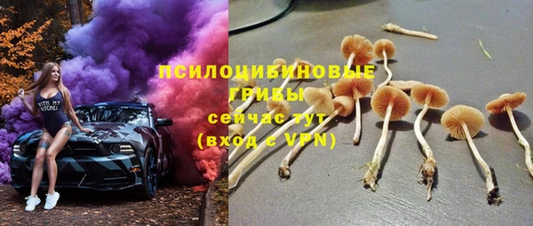 марки nbome Бородино