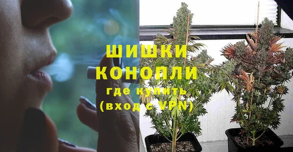 Альфа ПВП Бугульма
