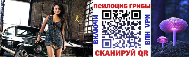 где найти наркотики  мега   Псилоцибиновые грибы MAGIC MUSHROOMS  Новохопёрск 